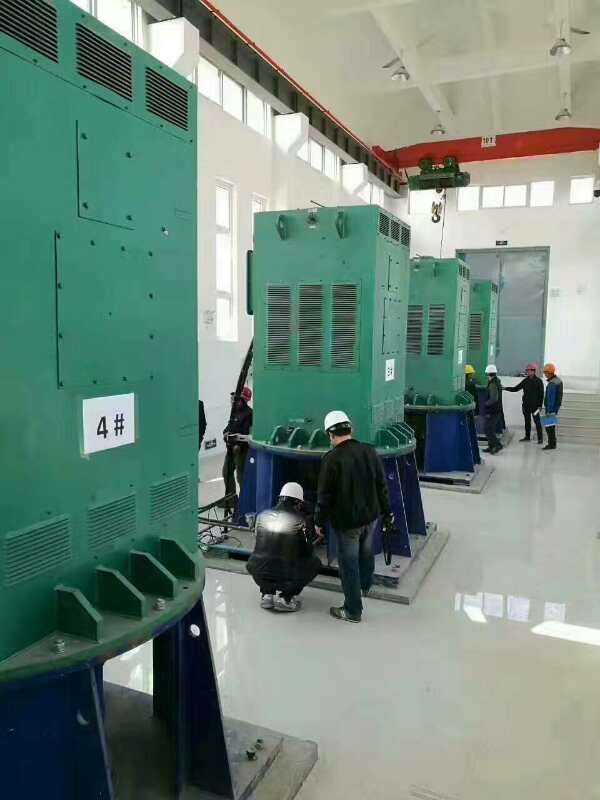 石碌镇某污水处理厂使用我厂的立式高压电机安装现场